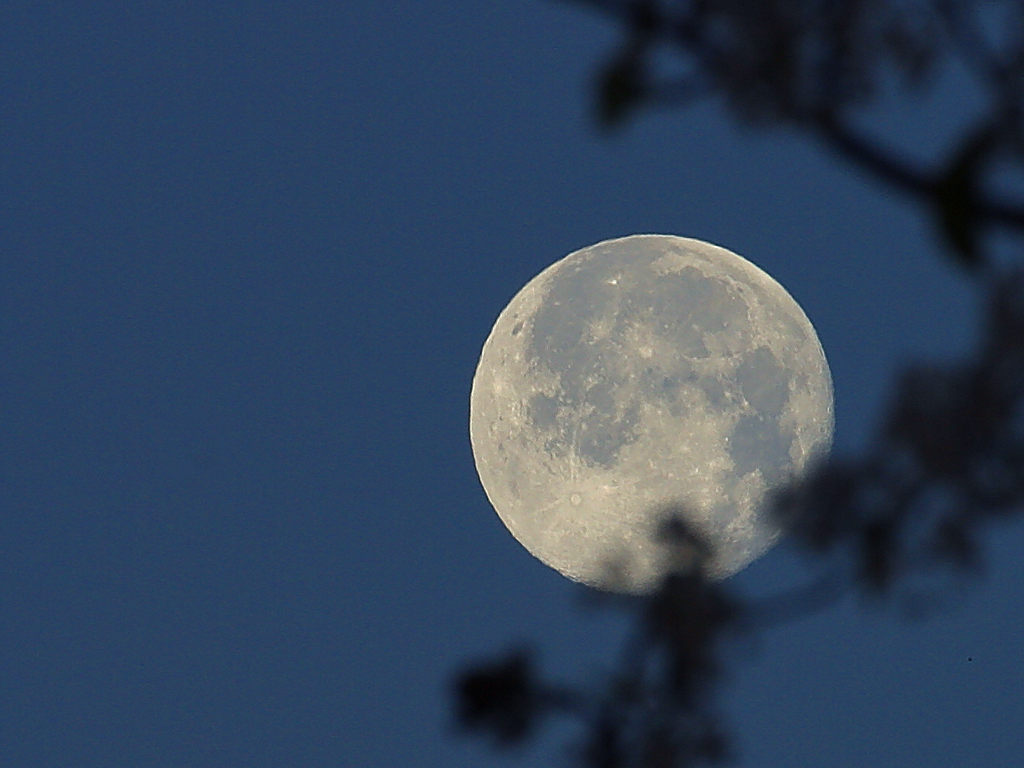 Full Moon Night Hike