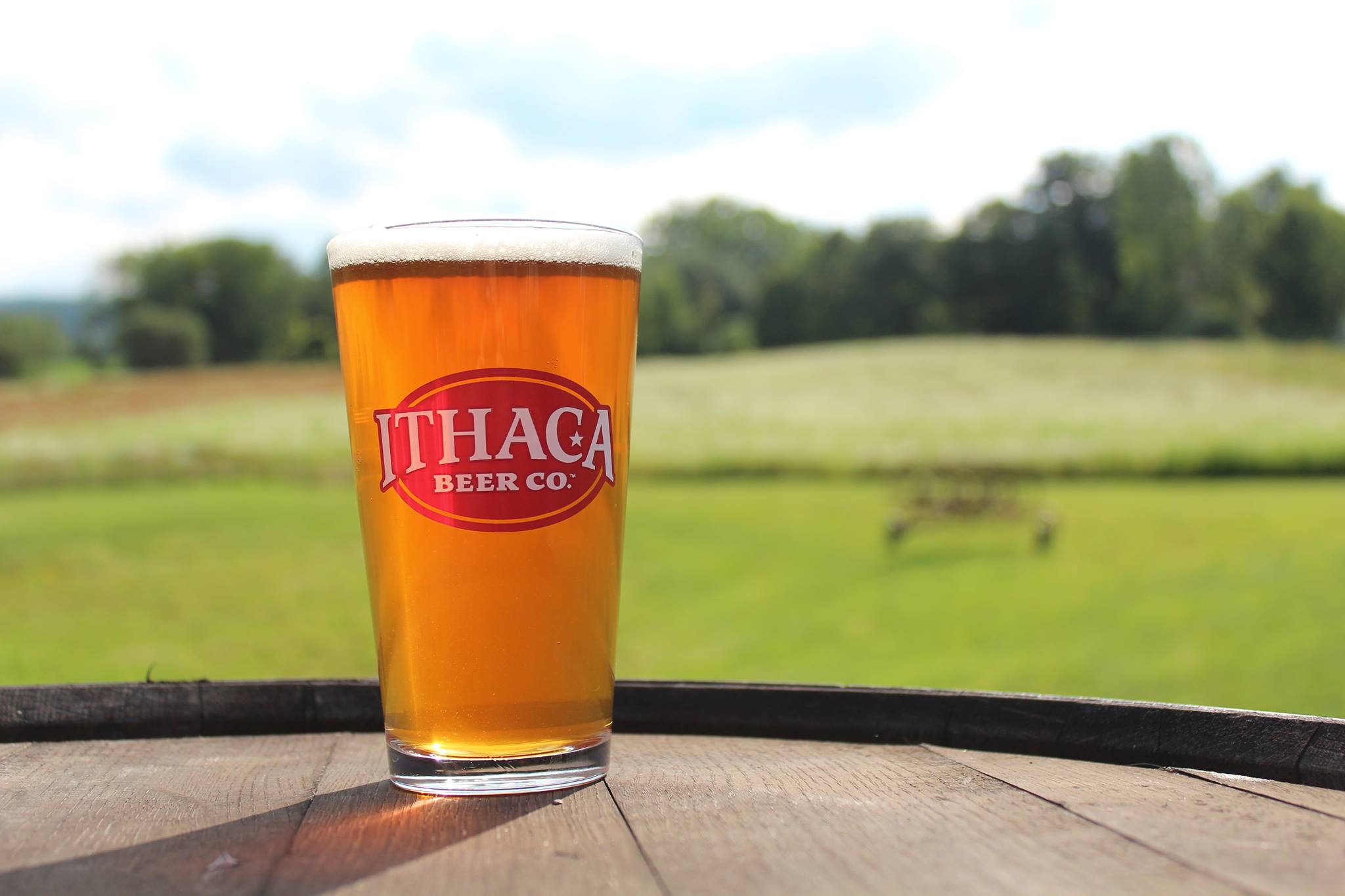 Ithaca Beer Co. + blendnewyork