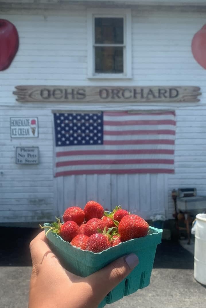 Ochs Orchard + blendnewyork
