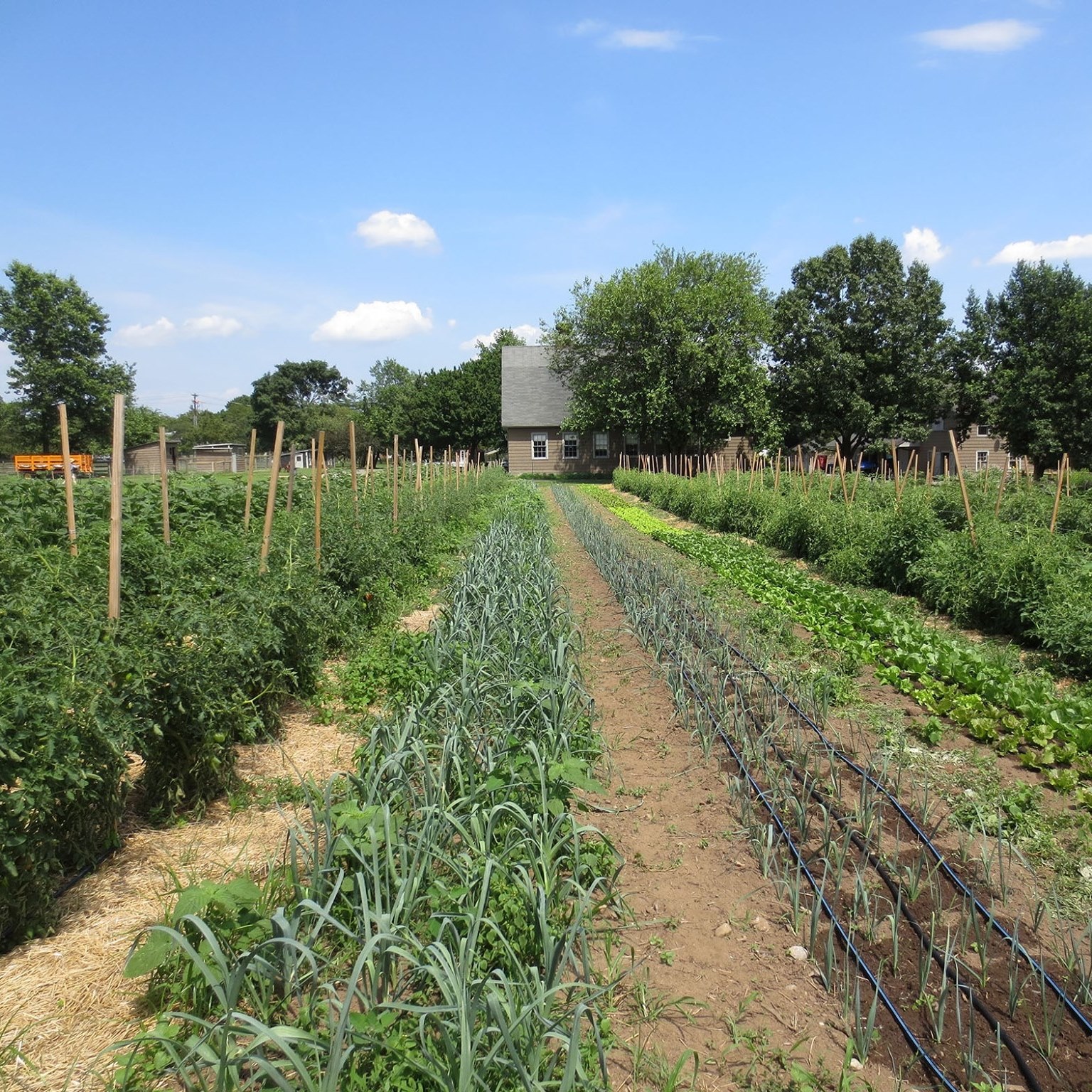 Queens County Farm Museum + blendnewyork