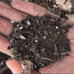 Soil Health Basics + blendnewyork