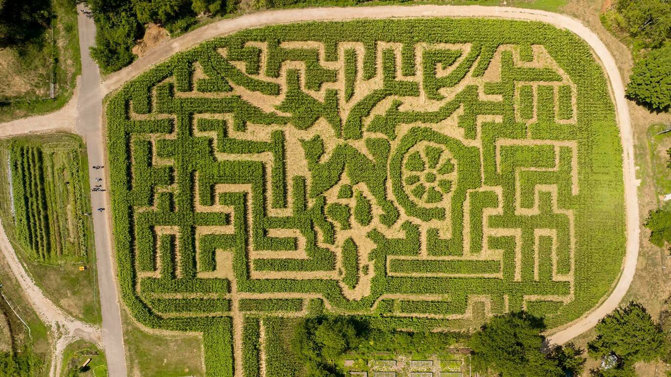 Add this one to your fall bucket list Get into the fall spirit by seeing if you can navigate this three-acre corn maze at a farm in Queens. Called The Amazing Maize Maze, this plant puzzle at the Queens County Farm Museum lives up to the hype. This year, the maze pays homage to Georgia O’Keeffe’s iconic “Ram’s Head, Blue Morning Glory” painting, and it was developed in collaboration with Georgia O’Keeffe Museum