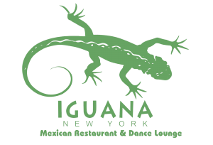 Iguana NYC on blendnewyork