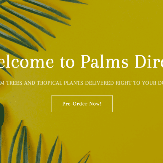 Palms Direct