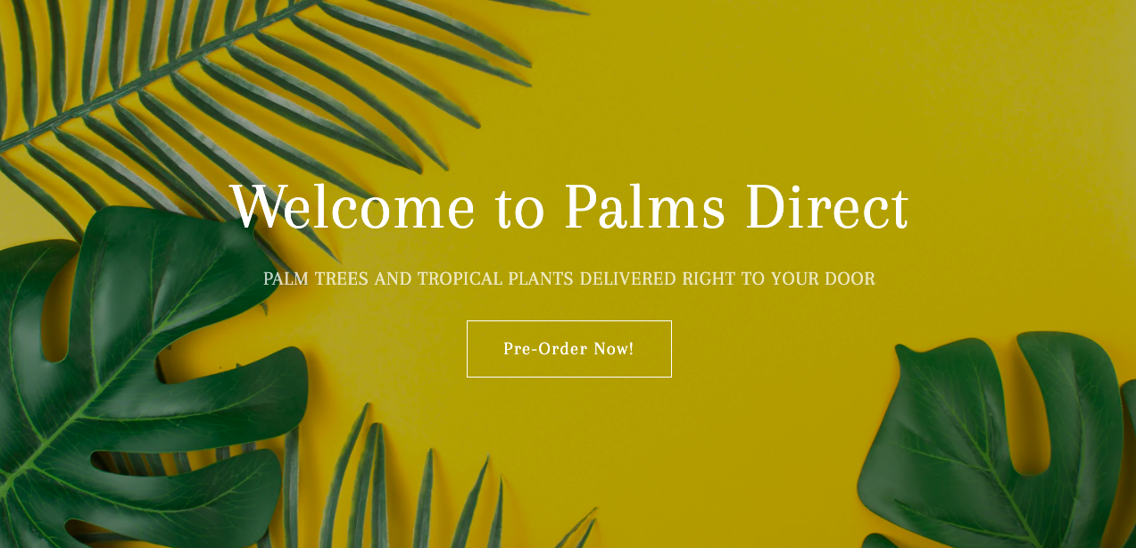 Palms Direct