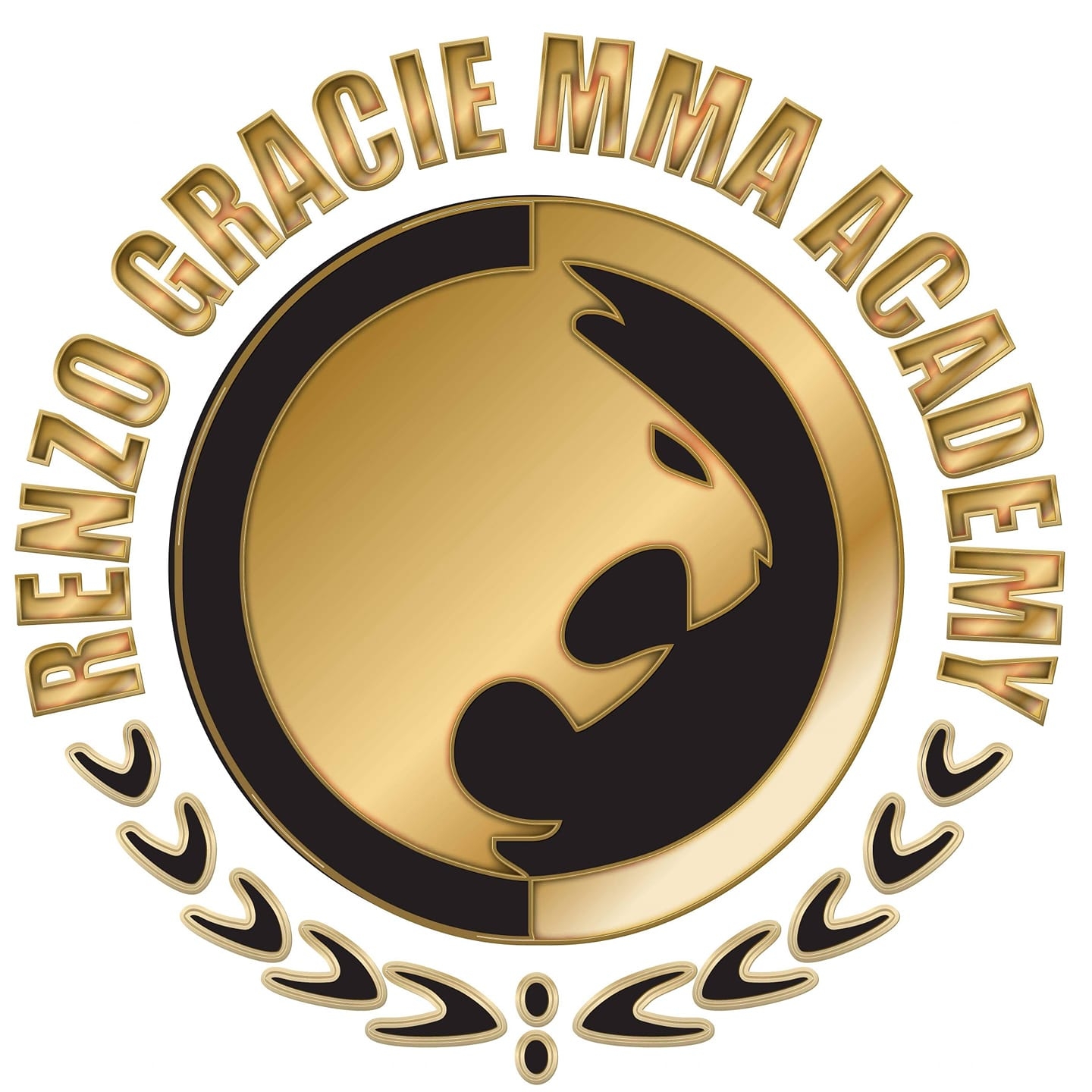 Renzo Gracie MMA Academy