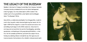 Buzzsaw Cannabis Company