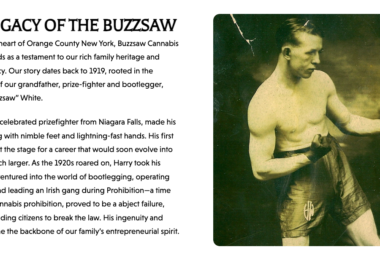 Buzzsaw Cannabis Company