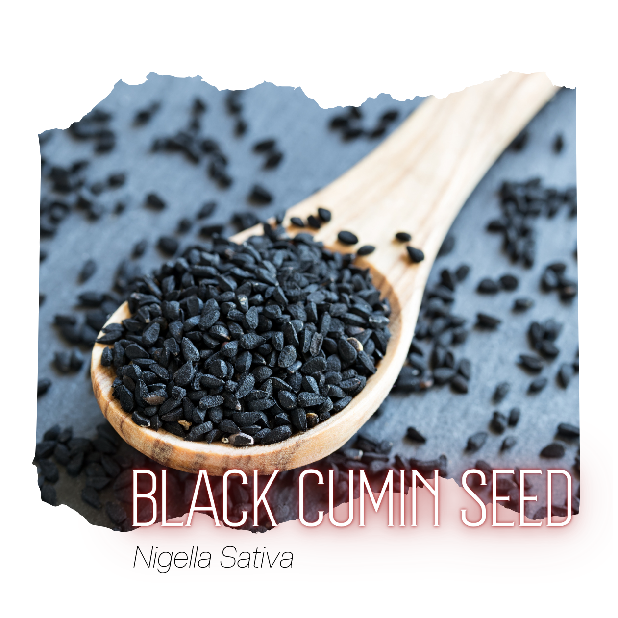 Organic BLACK CUMIN Seed Oil