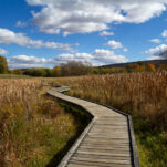Pochuck Boardwalk