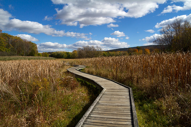 Pochuck Boardwalk